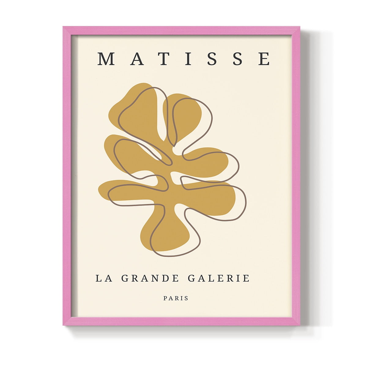 Matisse CCCLXVII in Pink Solid Wood 22 x 28 Framed Print