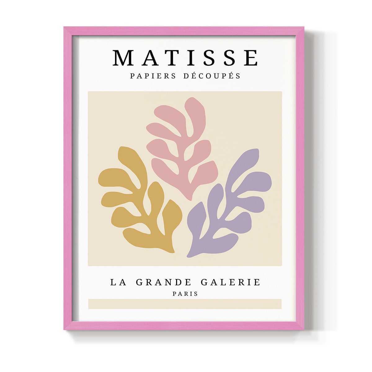 Matisse CCCLXXV in Pink Solid Wood 16 x 20 Framed Print