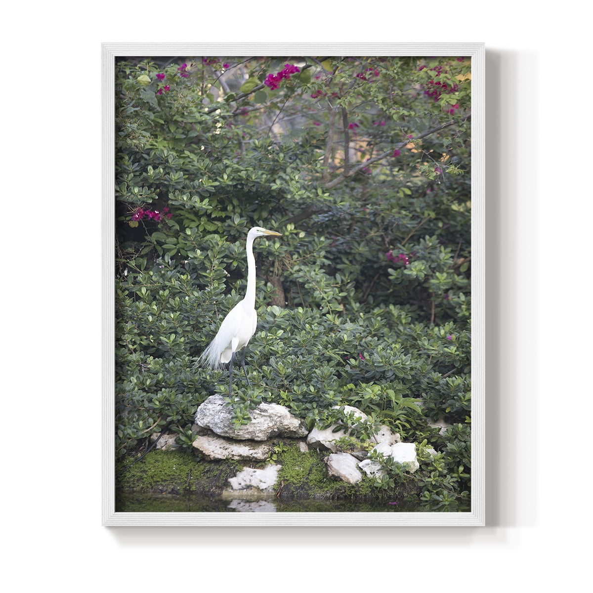Matisse MDCCCXXI Framed Print in White Solid Wood 11 x 14 Framed Print