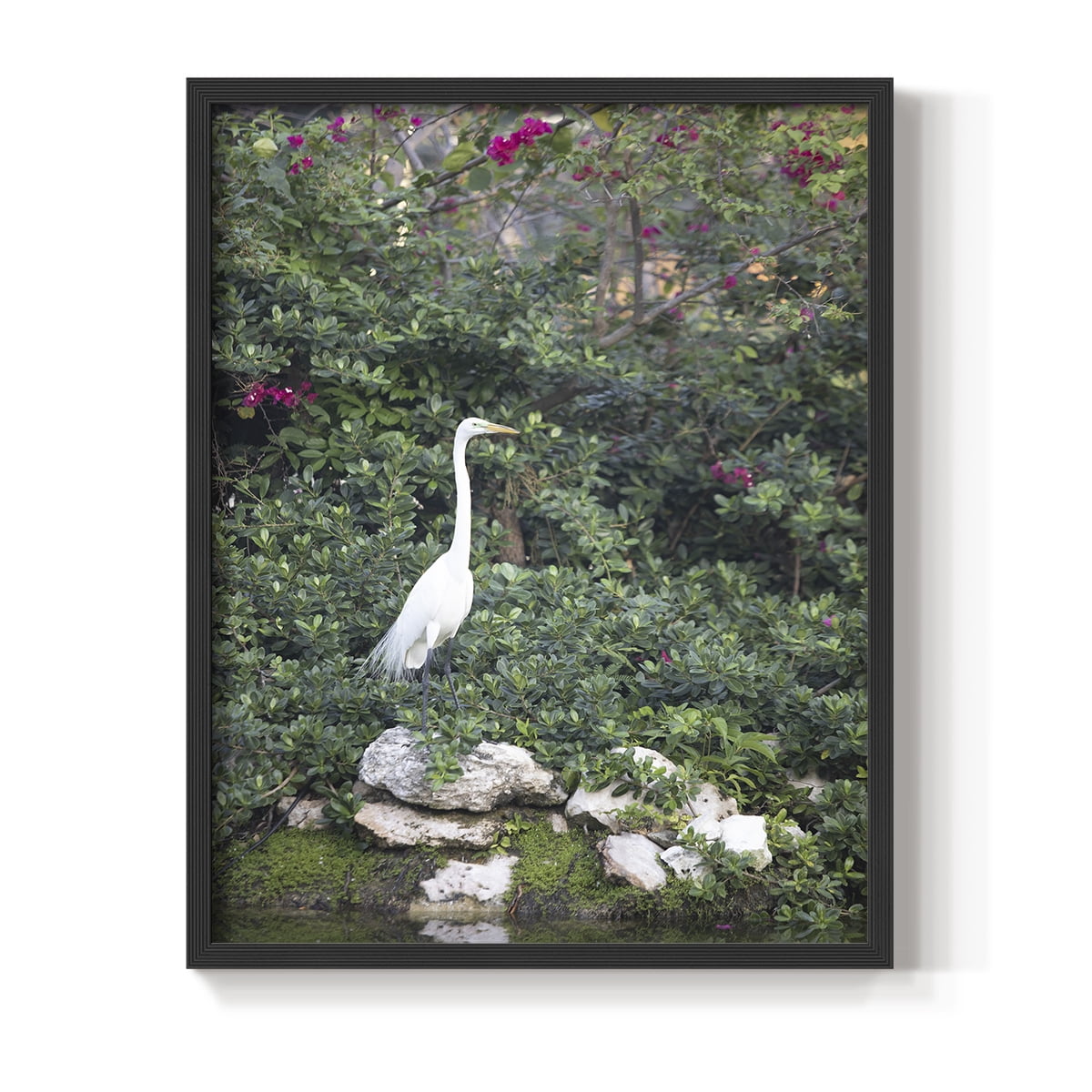 Matisse MDCCCXXI Framed Print in Black Solid Wood 16 x 20 Framed Print