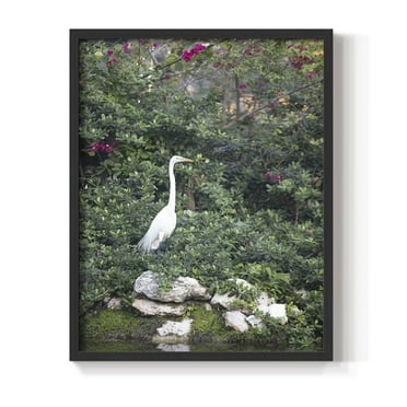 Matisse MDCCCXXI Framed Print in Black Solid Wood 8 x 10 Framed Print