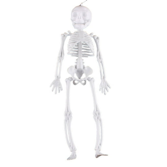 Matoen 11.4" Halloween Skeleton, Full Body Skeleton with Posable Movable Joints for Haunted House Props Decorations