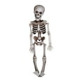thumbnail image 1 of Matoen 15.7” Halloween Skeleton Pose-N-Stay Full Body Plastic Bone with Posable Joints for Halloween Party Decoration Photo Prop Indoor and Outdoor Use, 1 of 6