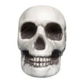 thumbnail image 1 of Matoen Halloween Skeletons Plastic Realistic Human Skull Head Bone Model Ghost House Props Halloween Party Supplies, 1 of 9