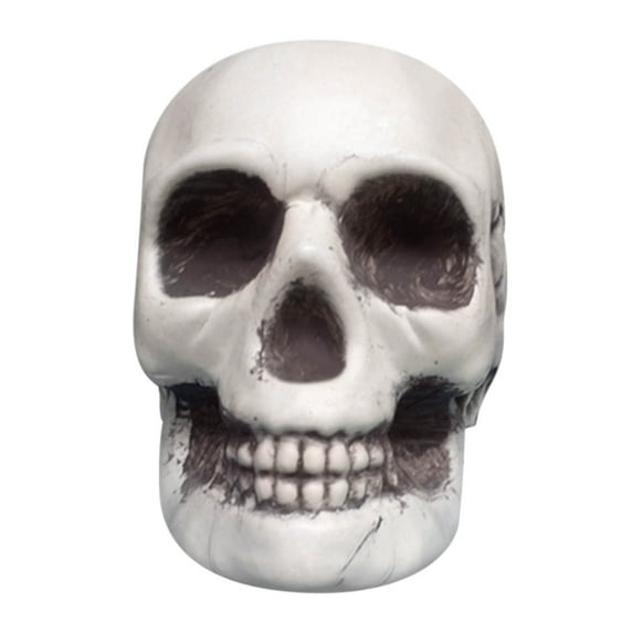 Matoen Halloween Skeletons Plastic Realistic Human Skull Head Bone Model Ghost House Props Halloween Party Supplies