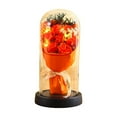 thumbnail image 1 of Matoen Preserevd Flowers, Fresh Flowers Bouquet in Glass Dome for Home Decor, Flowers for Delivery Gifts on Birthday, Valentine's Day, Mothers Day for Women, Mom Grandma (Yellow), 1 of 6