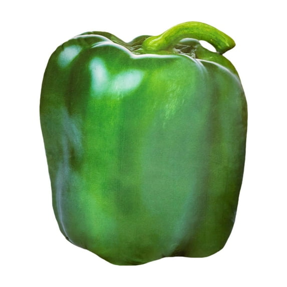 Matoen Simulation Cabbage Radish Stuffed Plush, Vegetable Plush Throw Pillow, Soft Plush Toy Decoration Doll, Christmas Gift for Kids