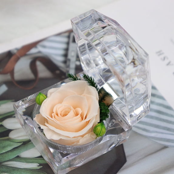 Matoen Valentine's Day Preserved Rose Real forever Rose in Mini Clear Ring Box, Eternal Flower Rose Gifts for Girlfriend
