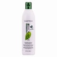 thumbnail image 1 of Matrix Biolage ScalpSync Cooling Mint Shampoo For Oily Scalp (Size : 16.9 oz), 1 of 2