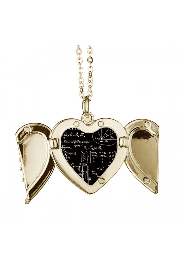 Matrix Mathematical Formulas Science Calculus Folded Wings Peach Heart Pendant Necklace