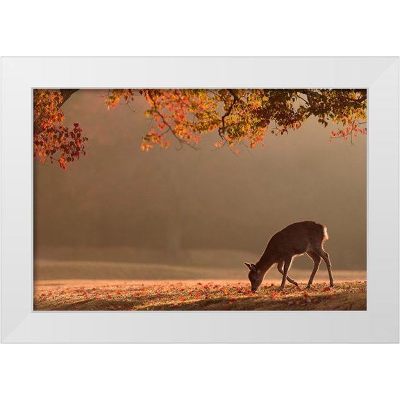 Matsui, Yoshinori 14x11 White Modern Wood Framed Museum Art Print Titled - First Autumn