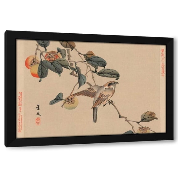 Keibun Matsumura 14x11 Black Modern Wood Framed Wall Art Titled - Bird perched on a branch from a fruit persimmon tree., 1892