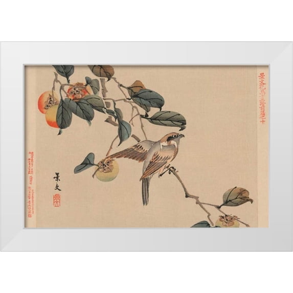 Matsumura, Keibun 32x23 White Modern Wood Framed Museum Art Print Titled - Bird perched on a branch from a fruit persimmon tree., 1892