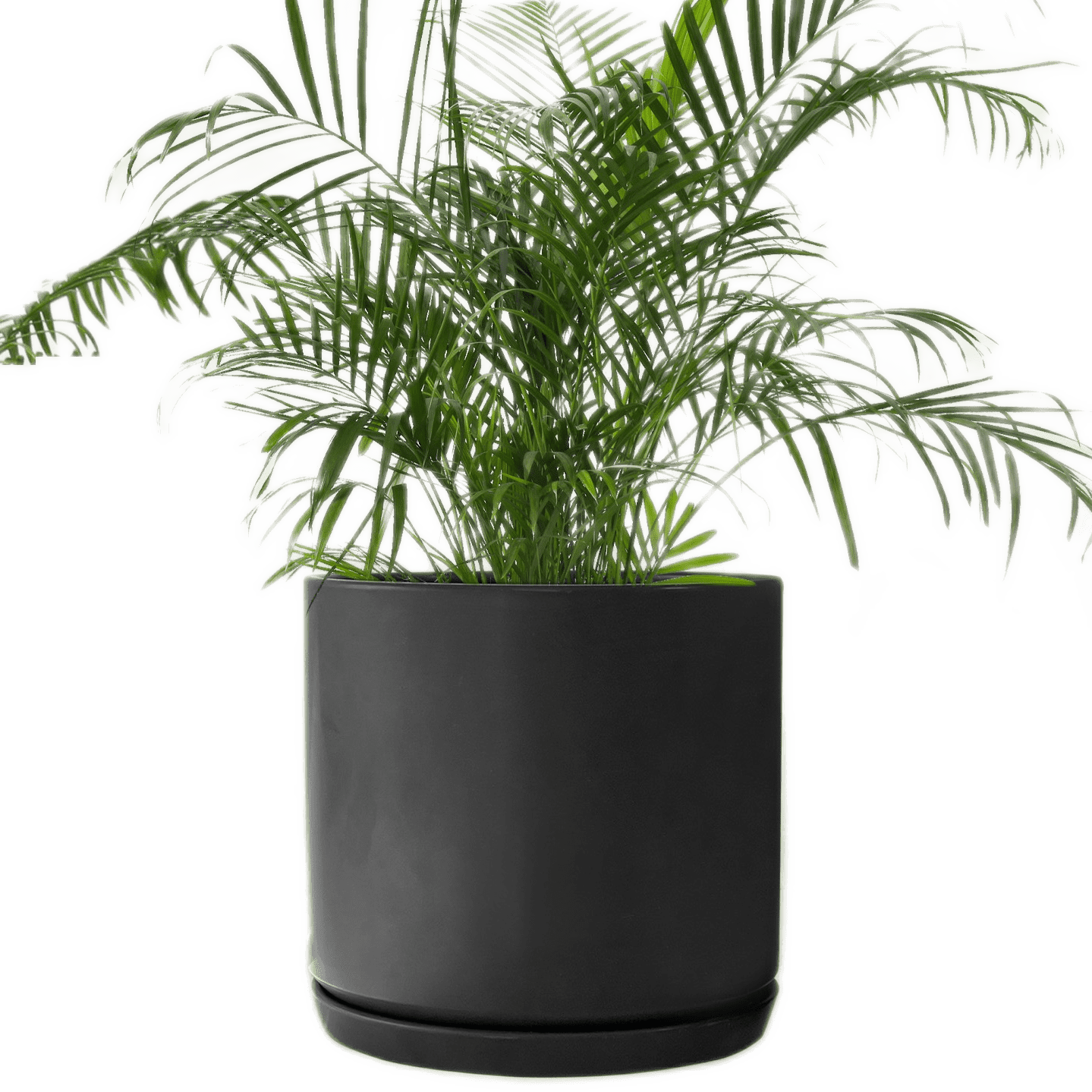Matt Black Large Ceramic Plant Pot with Saucer Garden Planters Large 10