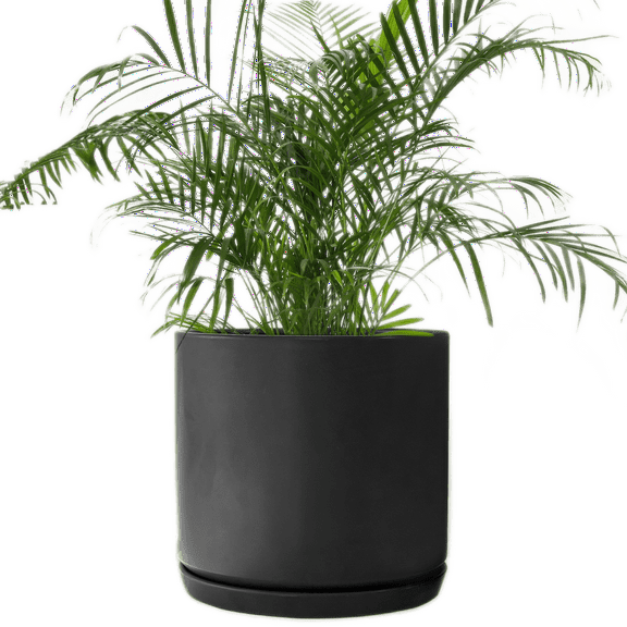 Matt Black Large Ceramic Plant Pot with Saucer Garden Planters Large 10 Inch Indoor Outdoor Plant Pots for Flowers and Plants