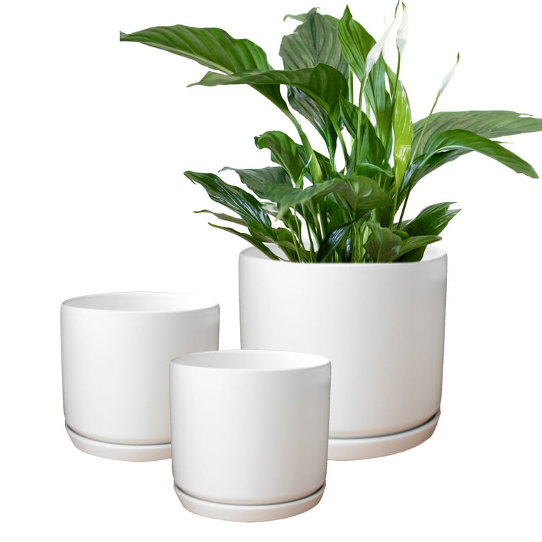 White Small Plant Pot Size M Set of 3 Ceramic Flower Planter for