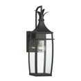 thumbnail image 1 of Matte Black One Light Outdoor Wall Lantern from the Montpelier Collection, 1 of 5