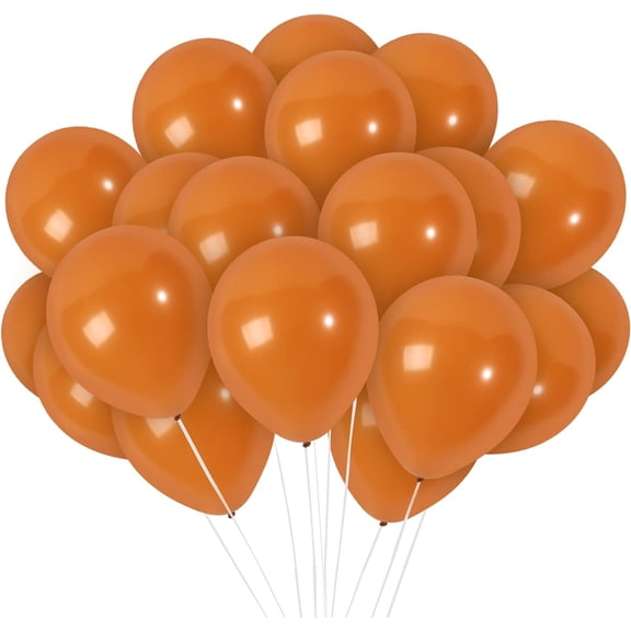 Matte Chocolate Balloons - 10 Inch Latex Balloons - 72 Pack