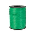 thumbnail image 1 of Matte Kelly gift packaging Raffia Ribbon, 1 of 1