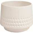 thumbnail image 1 of Matte White with Pattern Planter, 1 of 1