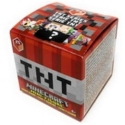Mattel Minecraft Series 25 Mystery Box Action Figures