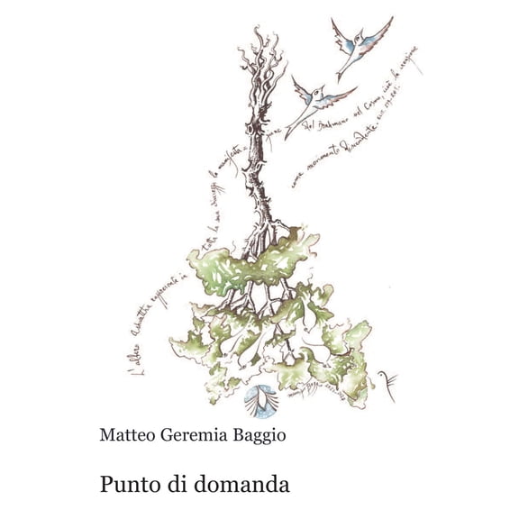 Matteo Geremia Baggio Punto di domanda (Paperback)