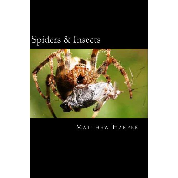 Matthew Harper: Spiders & Insects : Two Fascinating Books Combined Together Containing Facts, Trivia, Images & Memory Recall Quiz: Suitable for Adults & Children (Paperback)