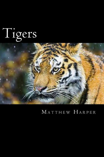 Matthew Harper Tigers: A Fascinating Book Containing Tiger Facts, Trivia, Images & Memory Recall Quiz: Suitable for Adults & Children, (Paperback)