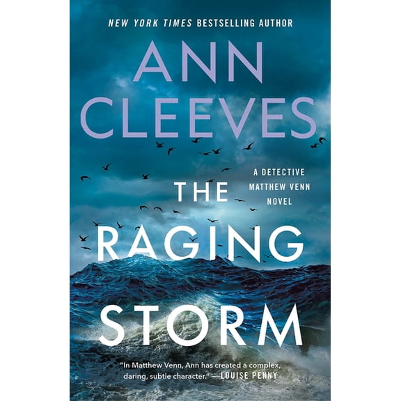 Matthew Venn series: The Raging Storm : A Detective Matthew Venn Novel (Series #3) (Paperback)