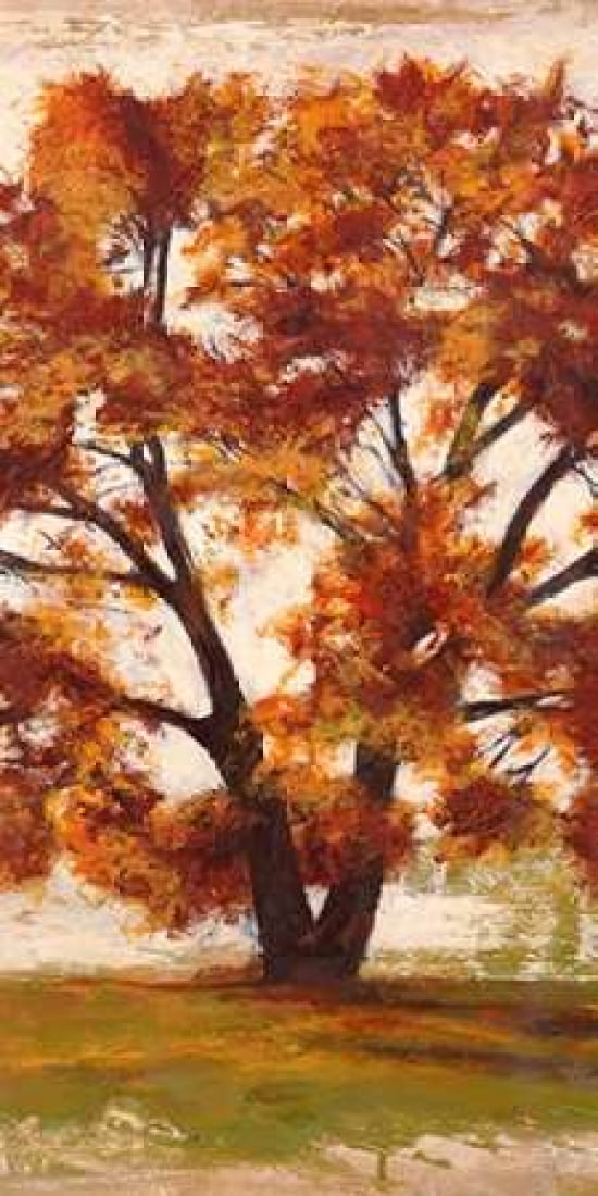 Mattino II Canvas Art - Leonardo Bacci (10 x 20)