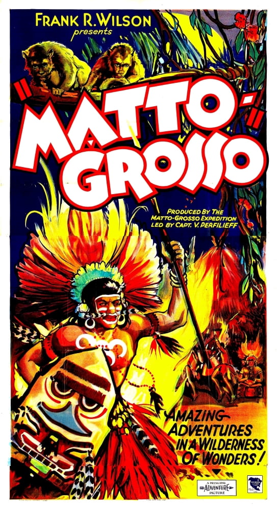 Matto Grosso Canvas Art -  (11 x 17)