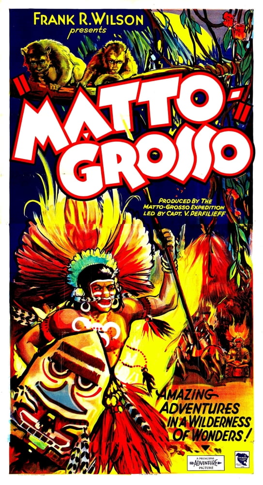 Matto Grosso Canvas Art - (24 x 36)