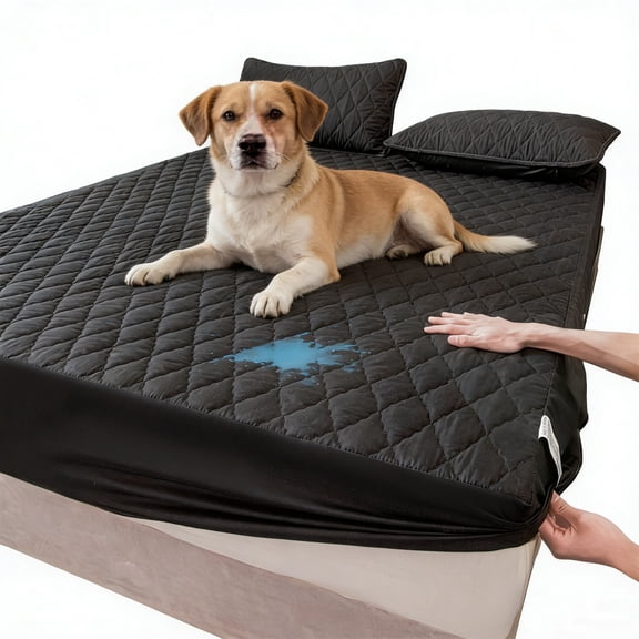 Mattress Protector - Waterproof - Breathable - Vinyl Free - Hypoallergenic - Full, 54'' x 74'', Black