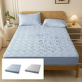 thumbnail image 1 of Mattress Protector Waterproof Fitted Sheet | Non-Slip Polyester Cover | All-Inclusive Bed Protection | Stretch Design | Soft Breathable | 35.4x78.7in | Light Blue or Gray | Easy Care, 1 of 6