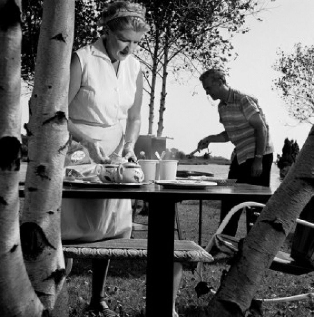 Mature couple at picnic Canvas Art -  (18 x 24)