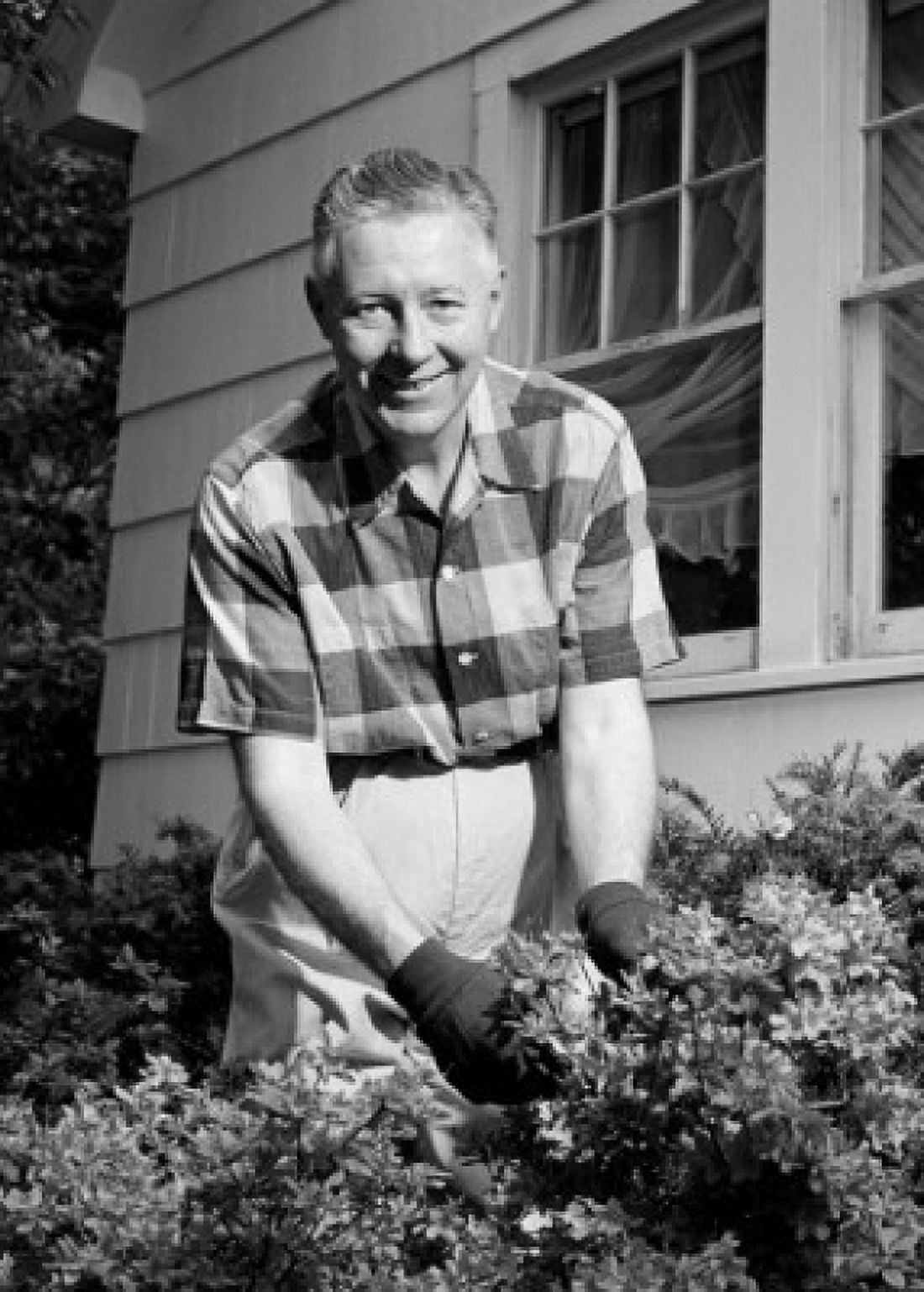 Mature man working in garden Canvas Art - (24 x 36)