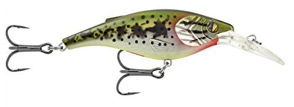 Lakewood Fishing Shad Mate with Bounce Resistant Hook Slots - Black —  /TheCrossbowStore.com