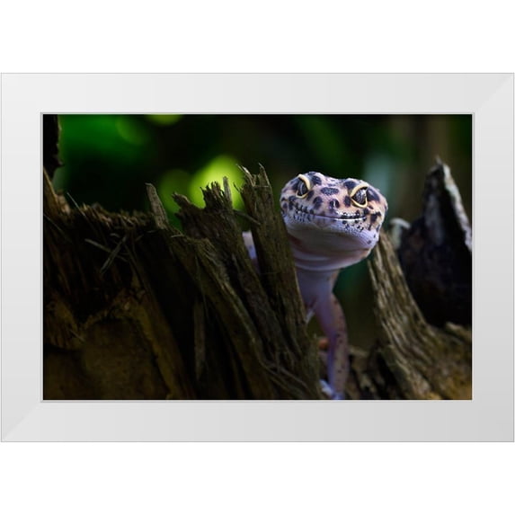 Maududdin, Fauzan 14x11 White Modern Wood Framed Museum Art Print Titled - Cute Smile