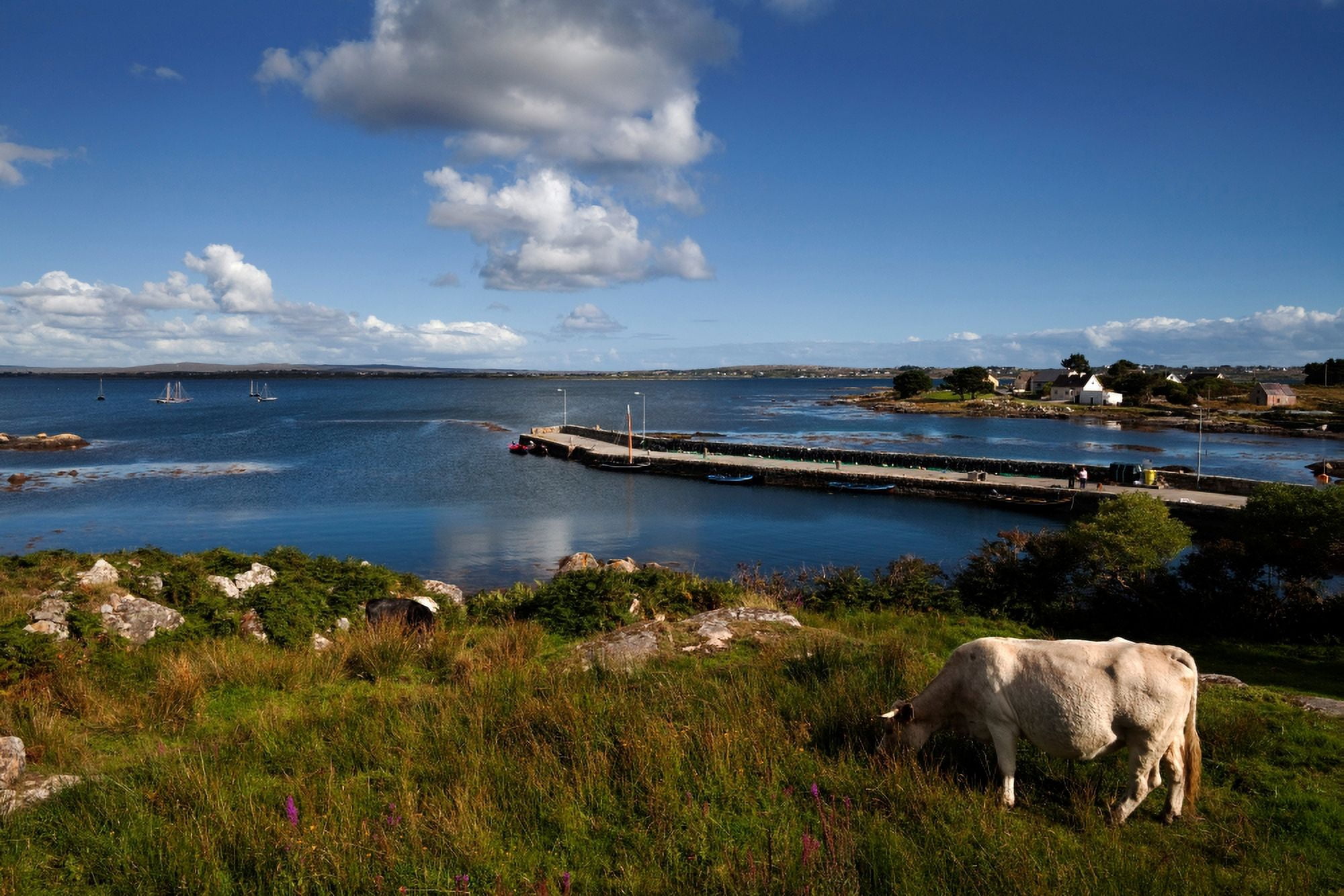 Maumeen Quay Gorumna Island Connemara County Galway Ireland Canvas Art - Panoramic Images (27 x 9)