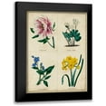 thumbnail image 1 of Maund, Benjamin 12x14 Black Modern Framed Museum Art Print Titled - Botanical Grid II, 1 of 5