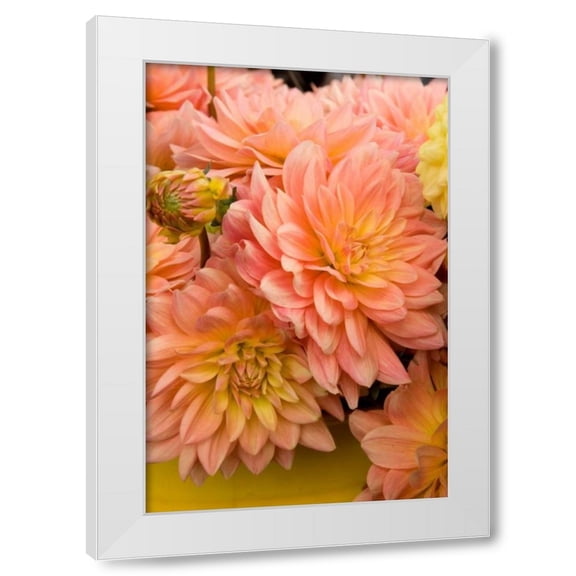 Maureen Love 11x14 White Modern Wood Framed Wall Art Titled - Peach Dalhia III