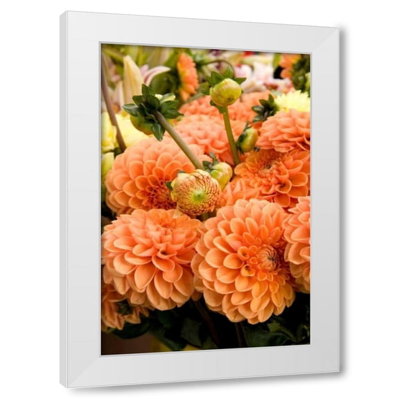 Maureen Love 11x14 White Modern Wood Framed Wall Art Titled - Peach Dalhia II