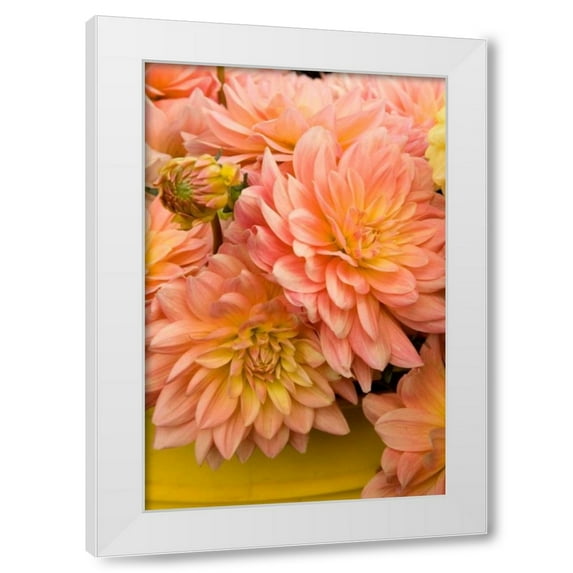 Maureen Love 11x14 White Modern Wood Framed Wall Art Titled - Peach Dalhia IV