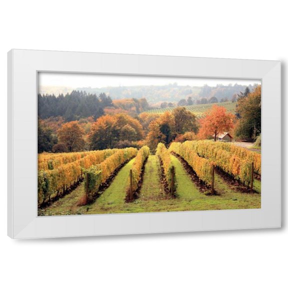 Maureen Love 14x11 White Modern Wood Framed Wall Art Titled - Bella Vida I