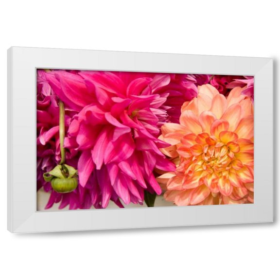 Maureen Love 14x11 White Modern Wood Framed Wall Art Titled - Fuschia Dalhia III