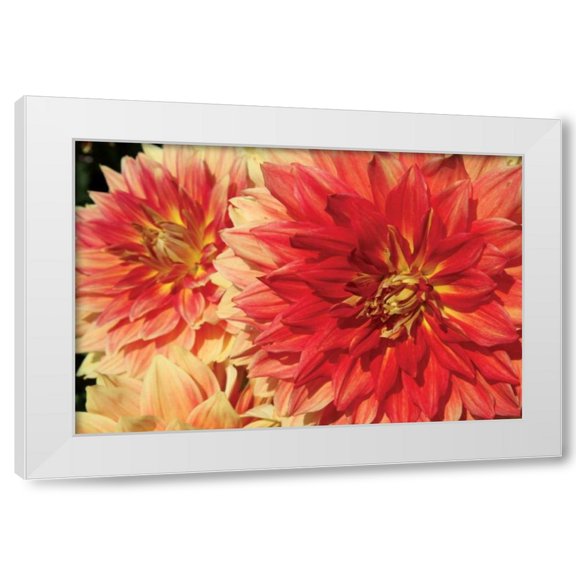 Maureen Love 14x11 White Modern Wood Framed Wall Art Titled - Hot Sun I