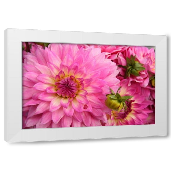 Maureen Love 14x11 White Modern Wood Framed Wall Art Titled - Spring Garden II