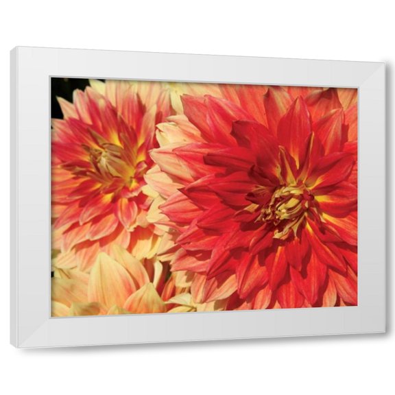 Maureen Love 14x12 White Modern Wood Framed Wall Art Titled - Hot Sun