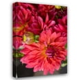 thumbnail image 1 of Maureen Love 17x24 Gallery Wrapped Canvas Wall Art Titled - Fuschia Dalhia II, 1 of 4