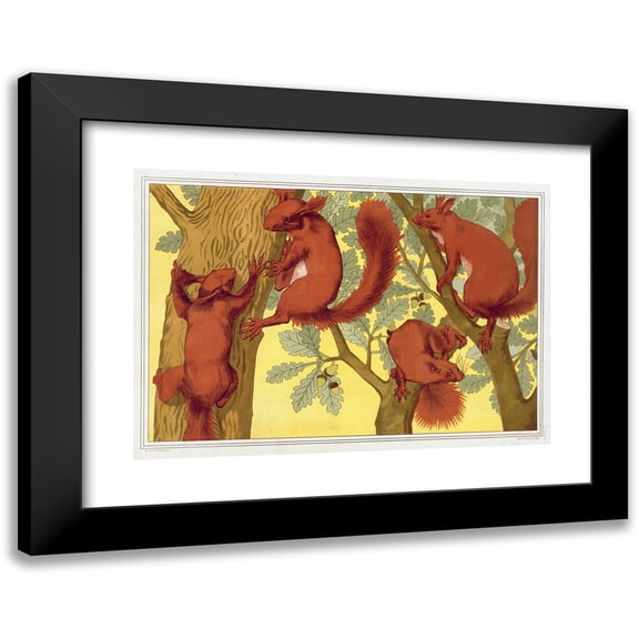 Maurice Pillard Verneuil 14x11 Black Modern Framed Museum Art Print Titled - Squirrels (1897)